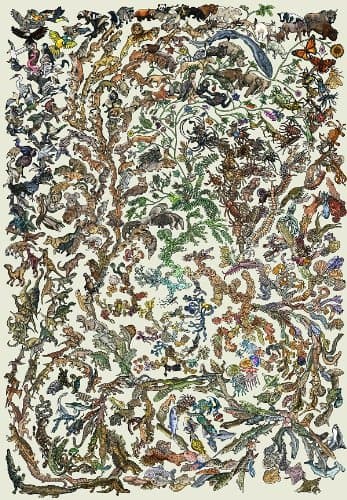 Evolution - Poster - Tree of Life - A1 (84cm x 59cm) Colour