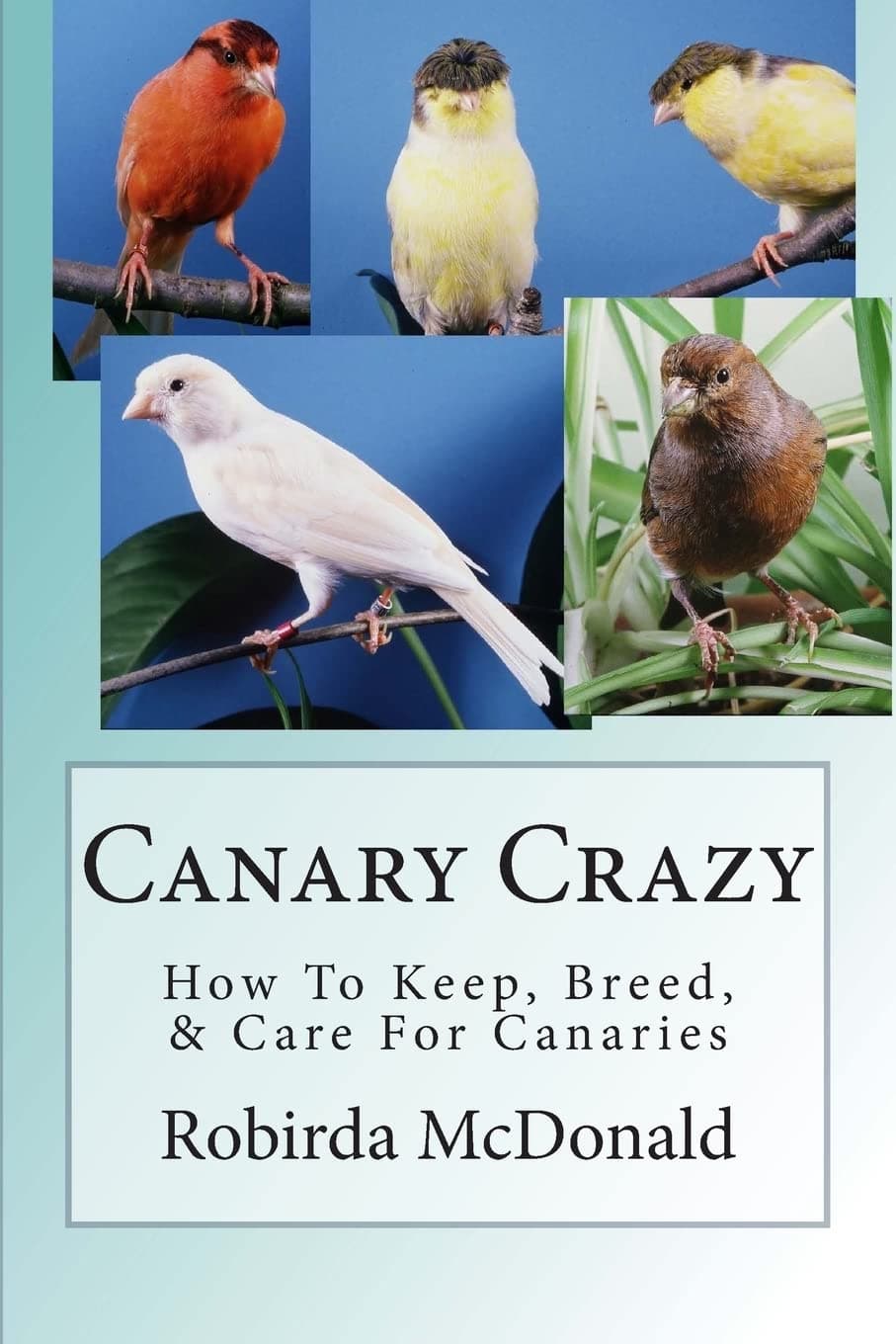 Canary Crazy: How To Keep, Breed, & Care For Canaries Paperback – June 6, 2013