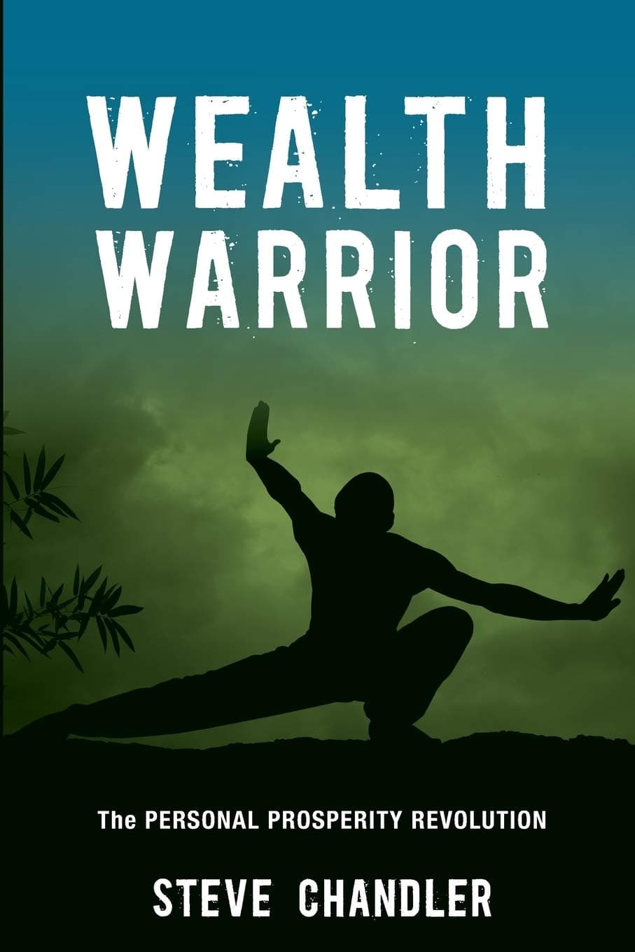 Wealth Warrior: The Personal Prosperity Revolution Paperback – August 18, 2012