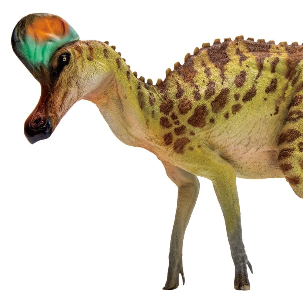 Prehistoric Dinosaur Models (28 Caroline The Corythosaurus)