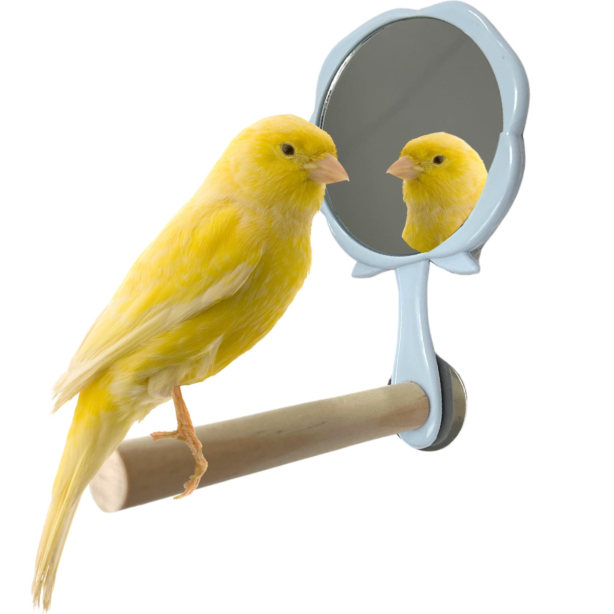 Bird Mirror with Perch - Easy Cage Install, Ideal for Parakeets Cockatiels Conures Lovebirds Finch Canaries Budgies, Wooden Bird Toys (2 Pack)
