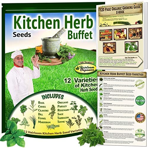 Kitchen Herb Seeds Buffet - Culinary Herbs for Home Grown Goodness. Basil, Chives, Dill, Cilantro, Oregano, Fennel, Marjoram, Rosemary, Thyme, Sage, Parsley and Much More!