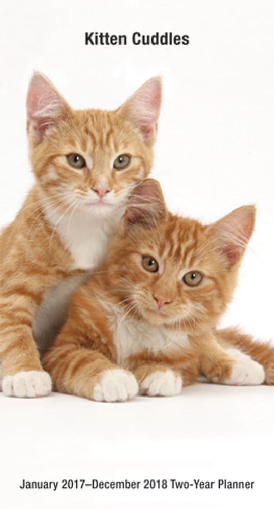 2017 - 2018 Kitten Cuddles 2-Year Pocket Planner Calendar