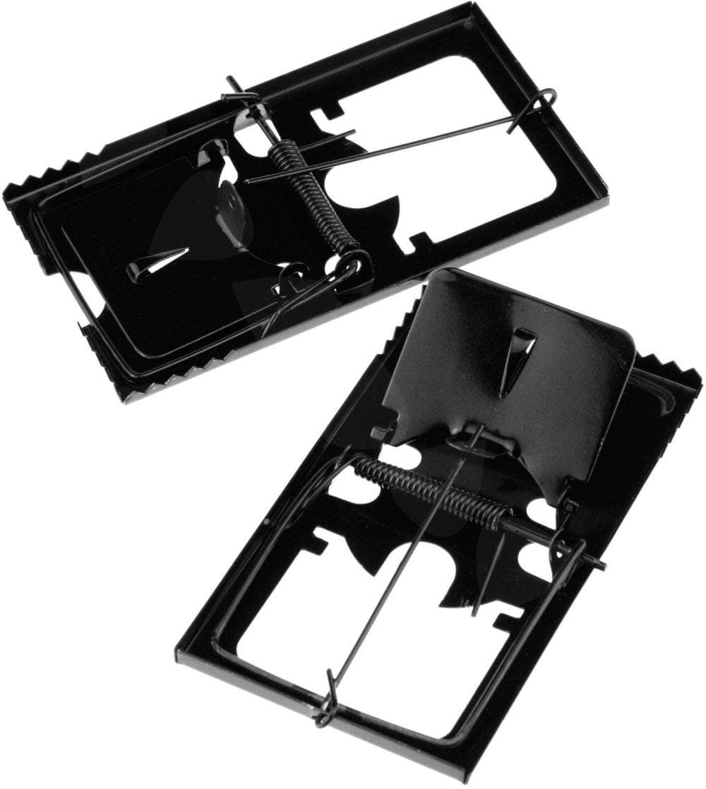 Heavy Duty Snap Mouse Trap, Set of 2