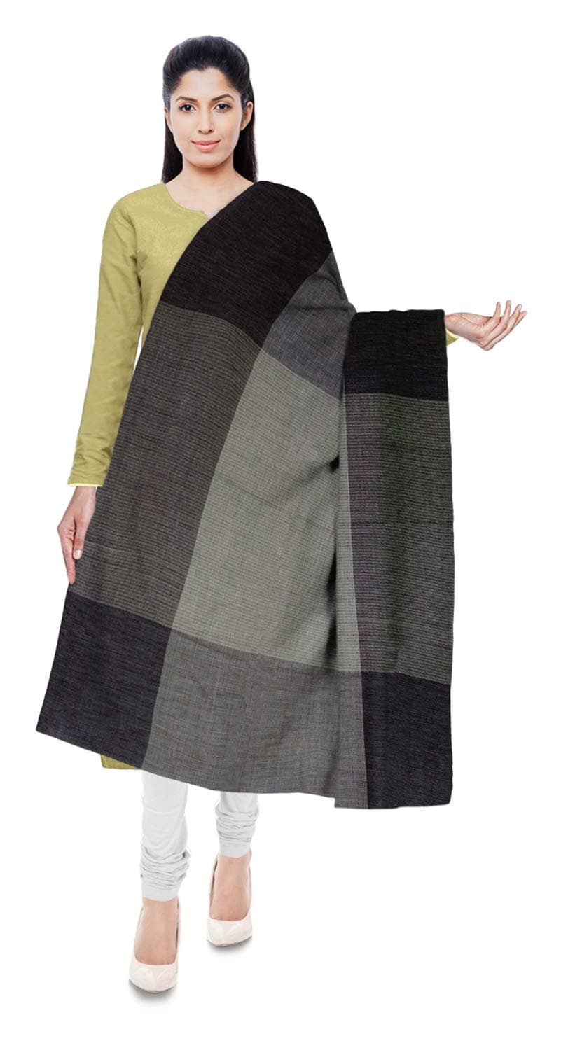 mahavir enterprises jammu Women's Stole (Multi-Colored)