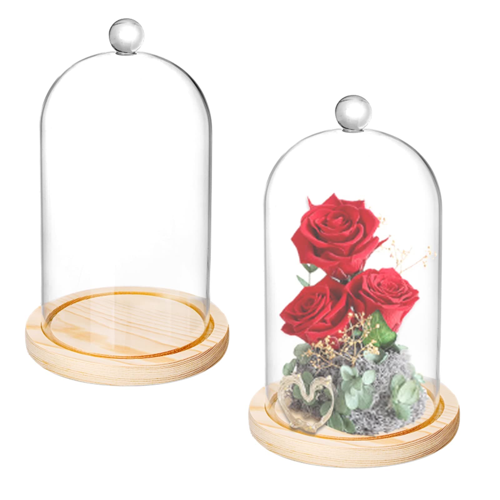 2 Pack Cloche Glass Dome, 8'' x 5'' Dome Cloche with Rustic Wooden Base, Glass Cloche Bell Jar Display for Plants, Fairy Lights or Table Decor