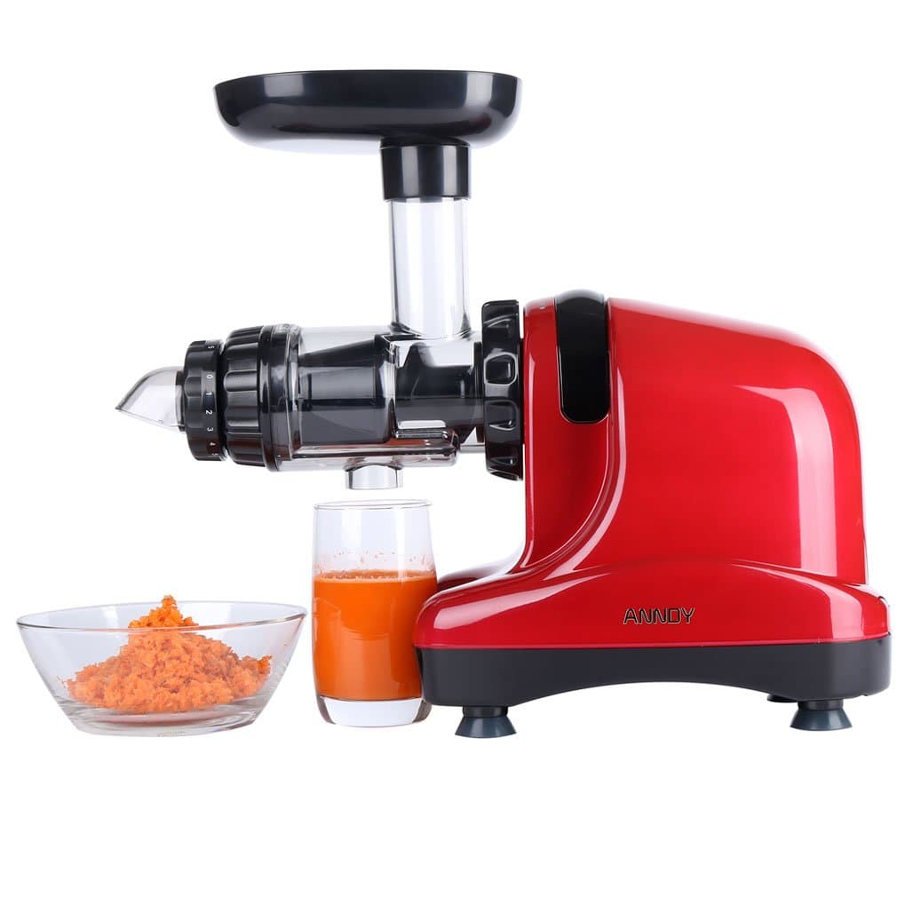 ANNDY Slow Juicer Cold press juicer slow masticating juicer horizontal juicer juice extractor - Red