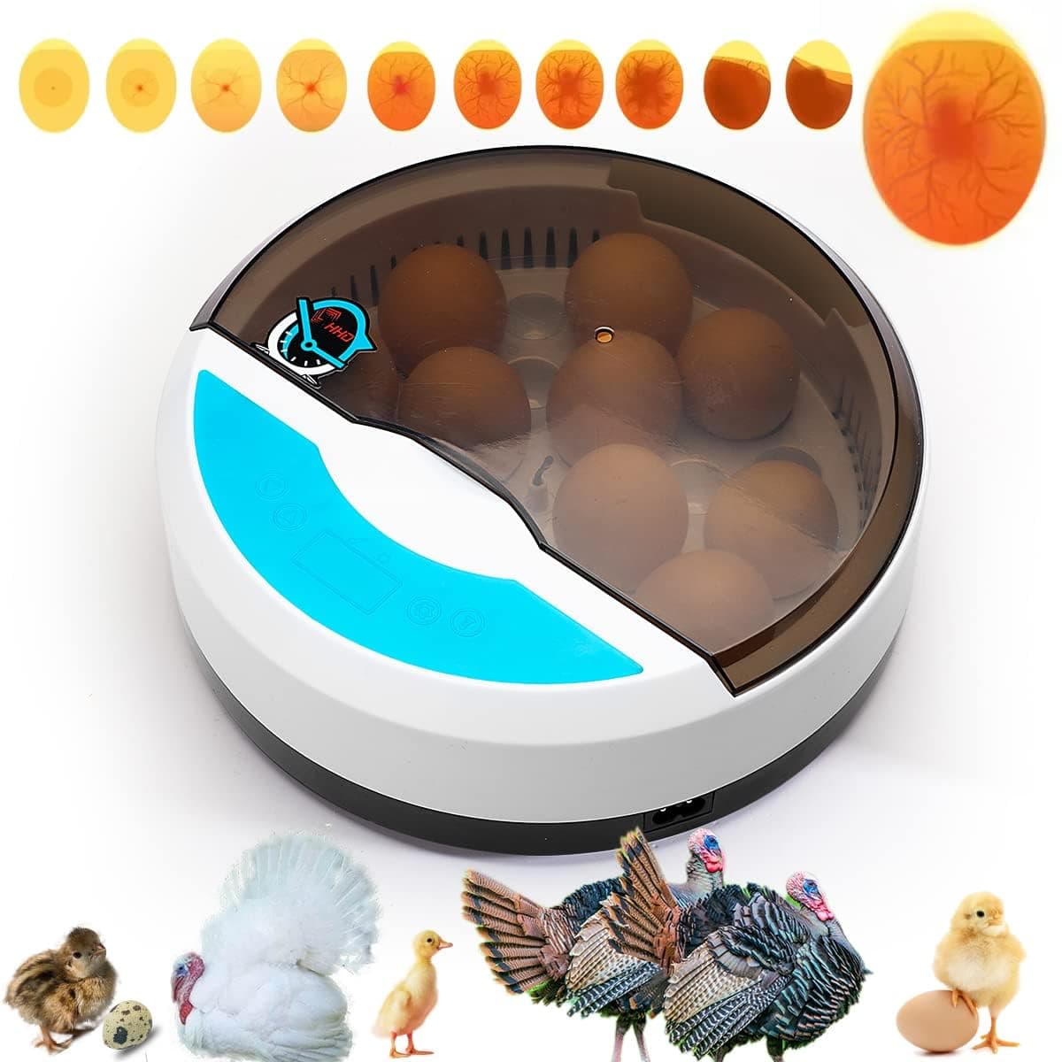 KASTWAVE Mini Egg Incubator with LED Candle Tester and Temperature Control for Chicken Duck Goose and Bird Hatching