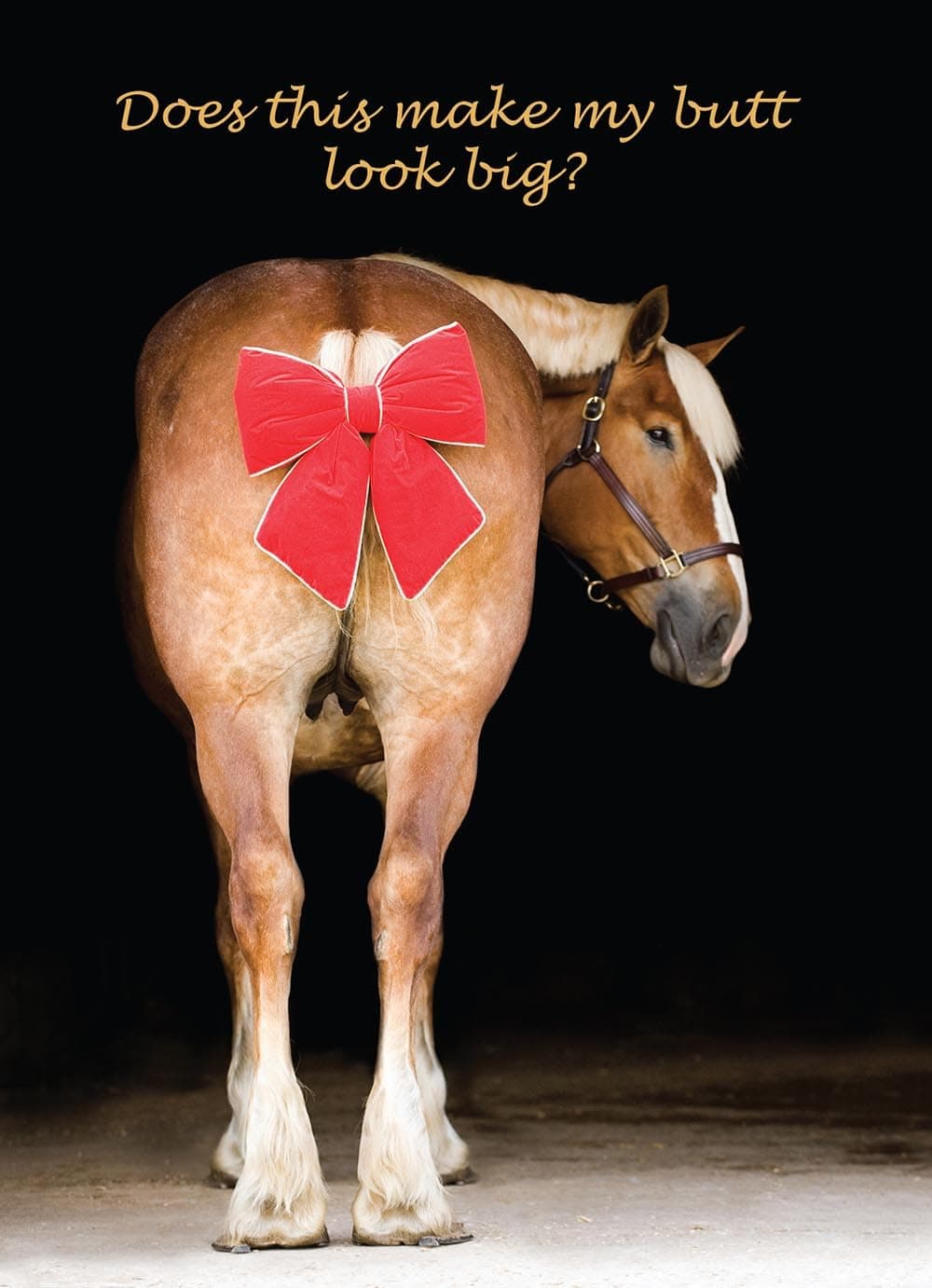 Does This Make My Butt Look Big? Belgian Horse Funny Christmas Card - 10 Cards + Envelopes - 4.5" x 6.25" Greeting Cards - Made in USA