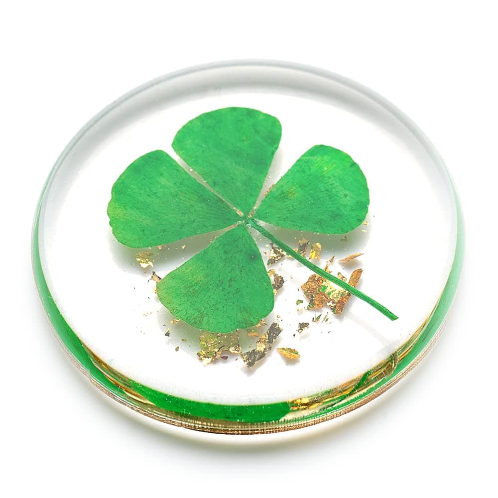 - Real Four Leaf Clover, Authentic 4 Leaf Clover Good Luck Charm 1.25”, Ideal for Gifts, Lucky Charm Clover For Family (Including Gold Leaf)