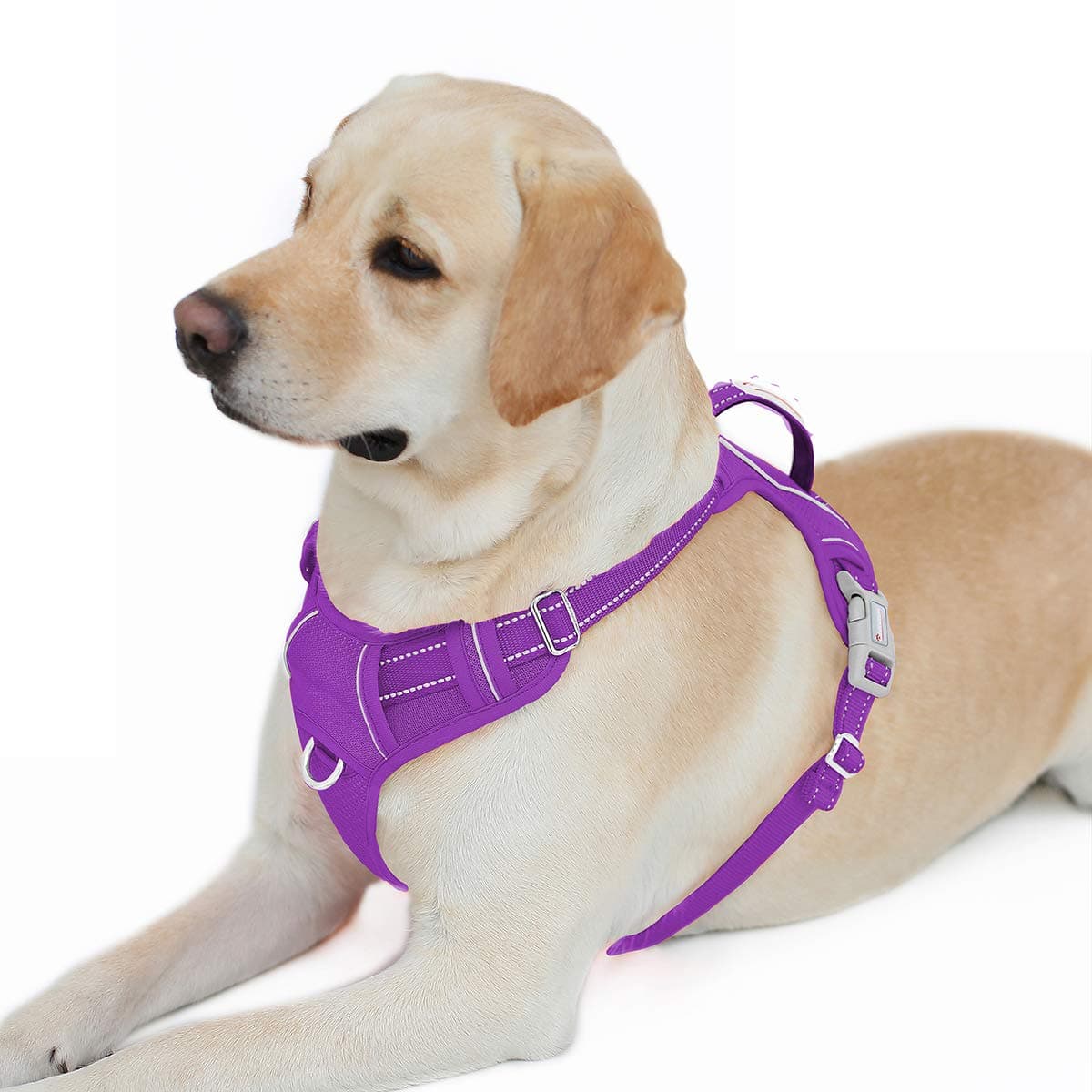 BARKBAY No Pull Dog Harness Front Clip Heavy Duty Reflective Easy Control Handle for Large Dog Walking with ID tag Pocket(Purple,L)
