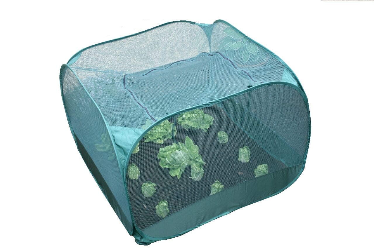 GardenSkillPop-Up – Protective Net for Strawberries, Structure 1,25 m x 1,25 m x 0,75 m