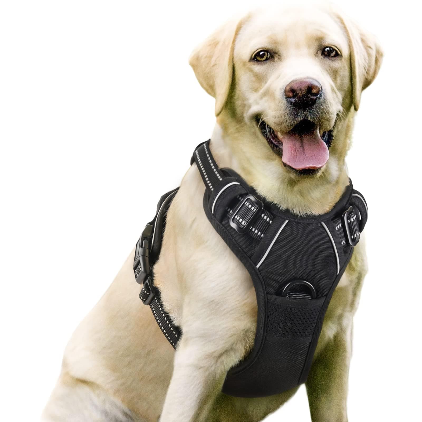 KASHIWA No-Pull Dog Harness Padded Adjustable Pet Vest Harness with Handle Front Clip Harness Perfect Fit for Large Dogs Training or Walking, Durable and No Choking (M)