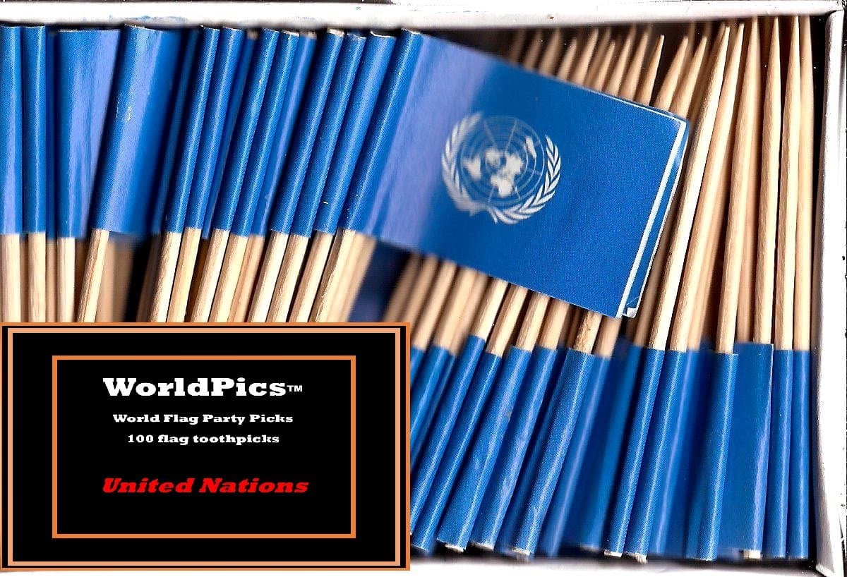 World Flags DirectOne Box United Nations Toothpick 100 Small Mini United Nation UN Flag Cupcake Toothpicks or Cocktail Picks