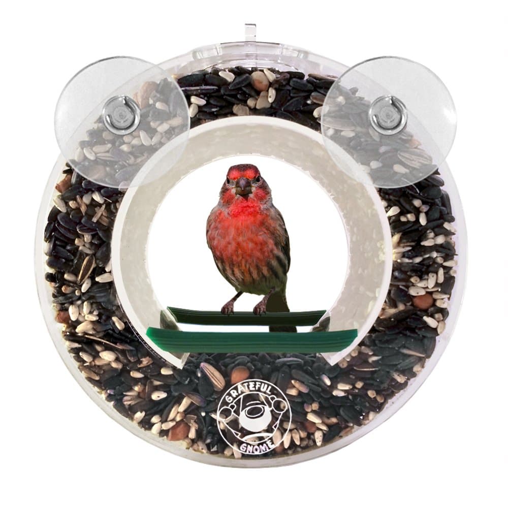 Grateful Gnome - Double Circular Window Bird Feeder