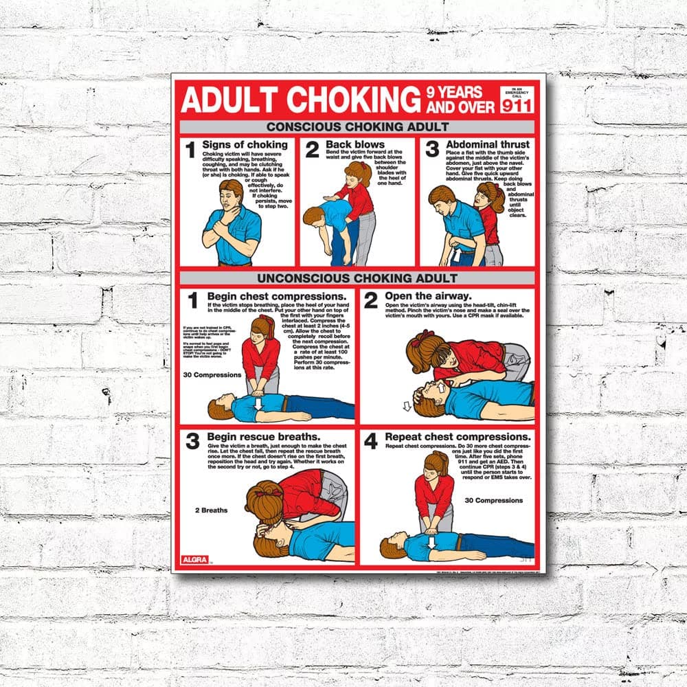 Choking for Adults 18" X 24" Laminated Poster