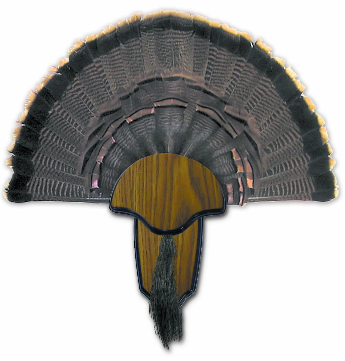 HUNTERS SPECIALTIES Strut Turkey Tail & Beard Mounting Kit - Durable Easy To Assemble Trophy Mount Kit With Hardware Included