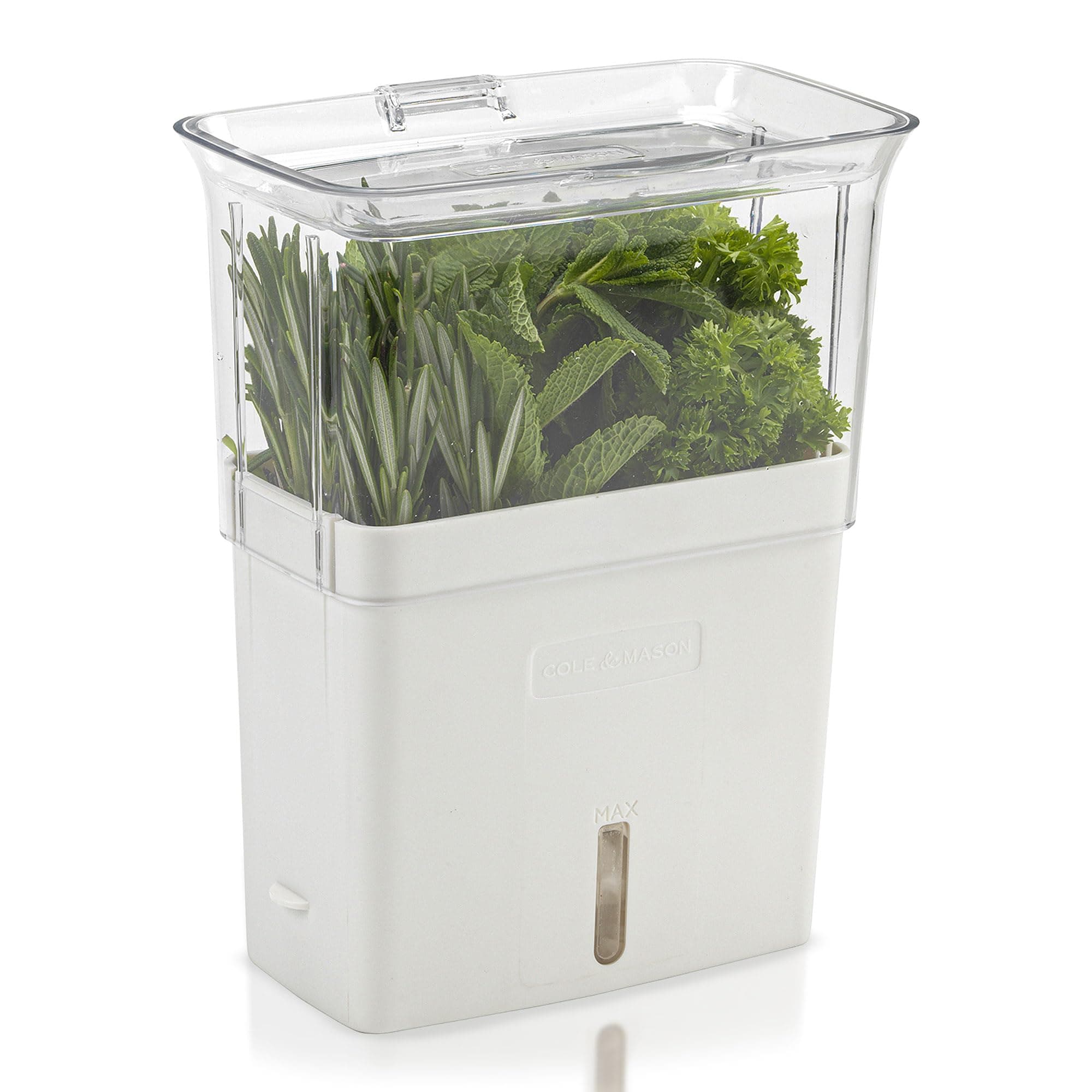 H105159 Tealby Fresh Cut Herb Keeper, Herb Pot/Storage/Herb Saver/Box, Acrylic, Includes Removable Dividers, 2 Year Guarantee,White/Clear (H) 230mm x (W) 185mm x (D) 120mm