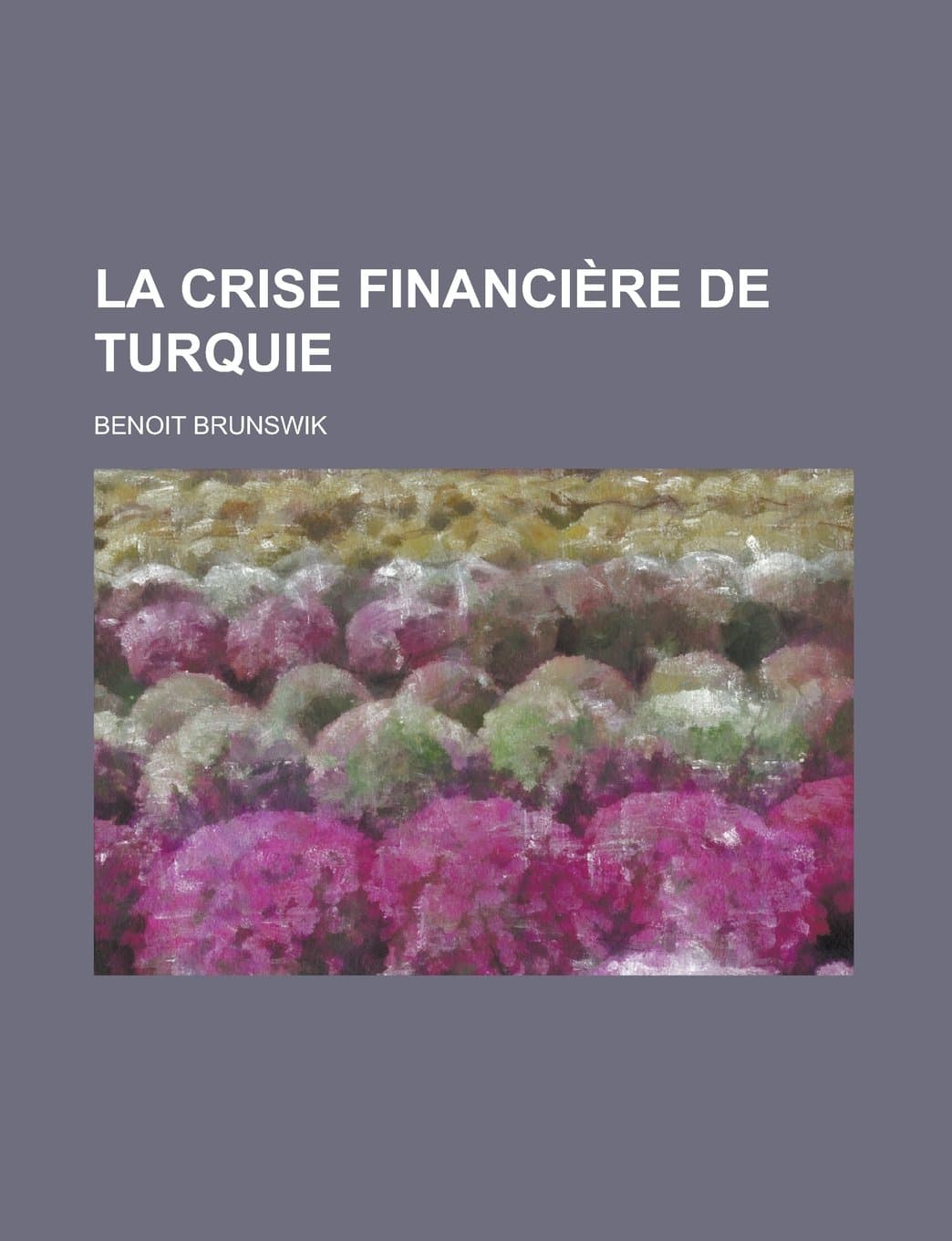 La Crise Financiere de Turquie