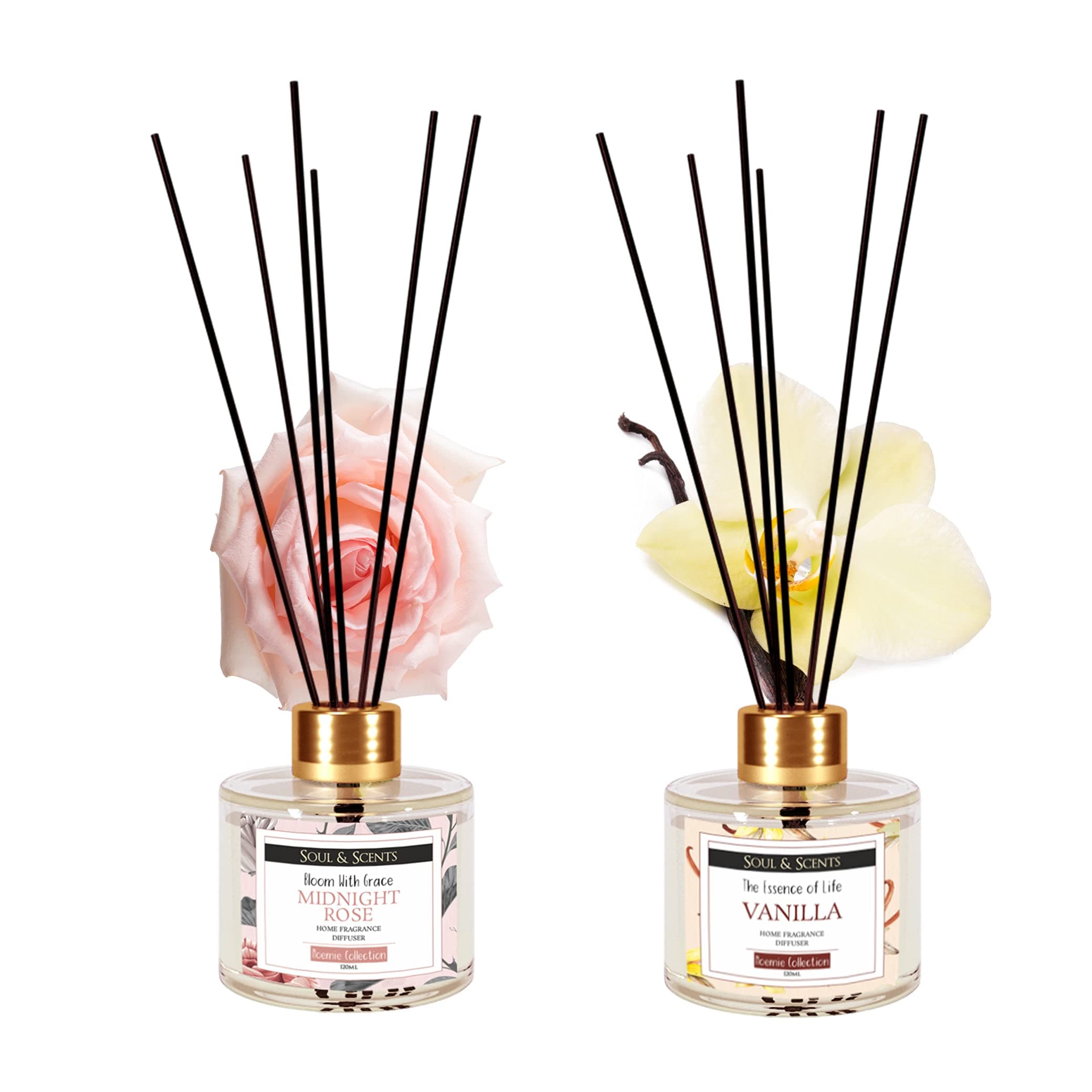 Soul & Scents Vanilla and Midnight Rose Reed Diffuser Set - 120ml with Free 6 Fiber Reed Sticks Each|Toxin Free & Stress Relief |Long Lasting|Room Freshener for Home, Bedroom & Office| Combo Pack of 2