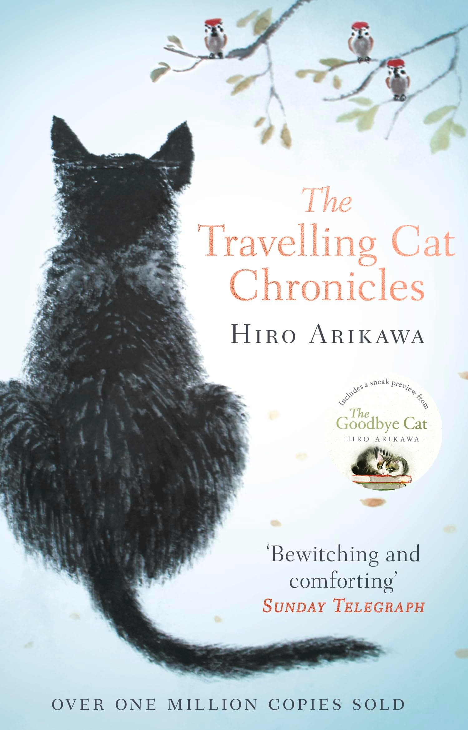 The travelling cat chronicles