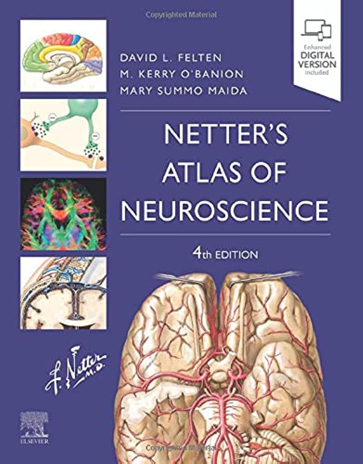Netter's Atlas of Neuroscience