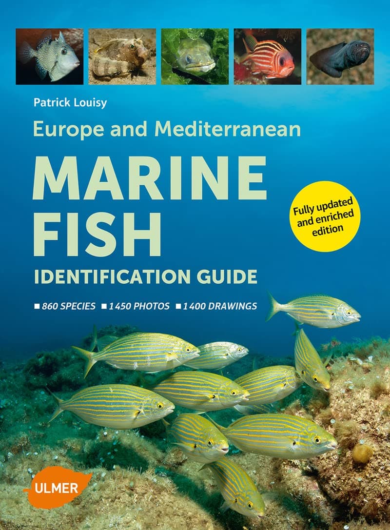 Europe and Mediterranean Marine Fish Identification Guide Paperback – 19 Jun. 2015