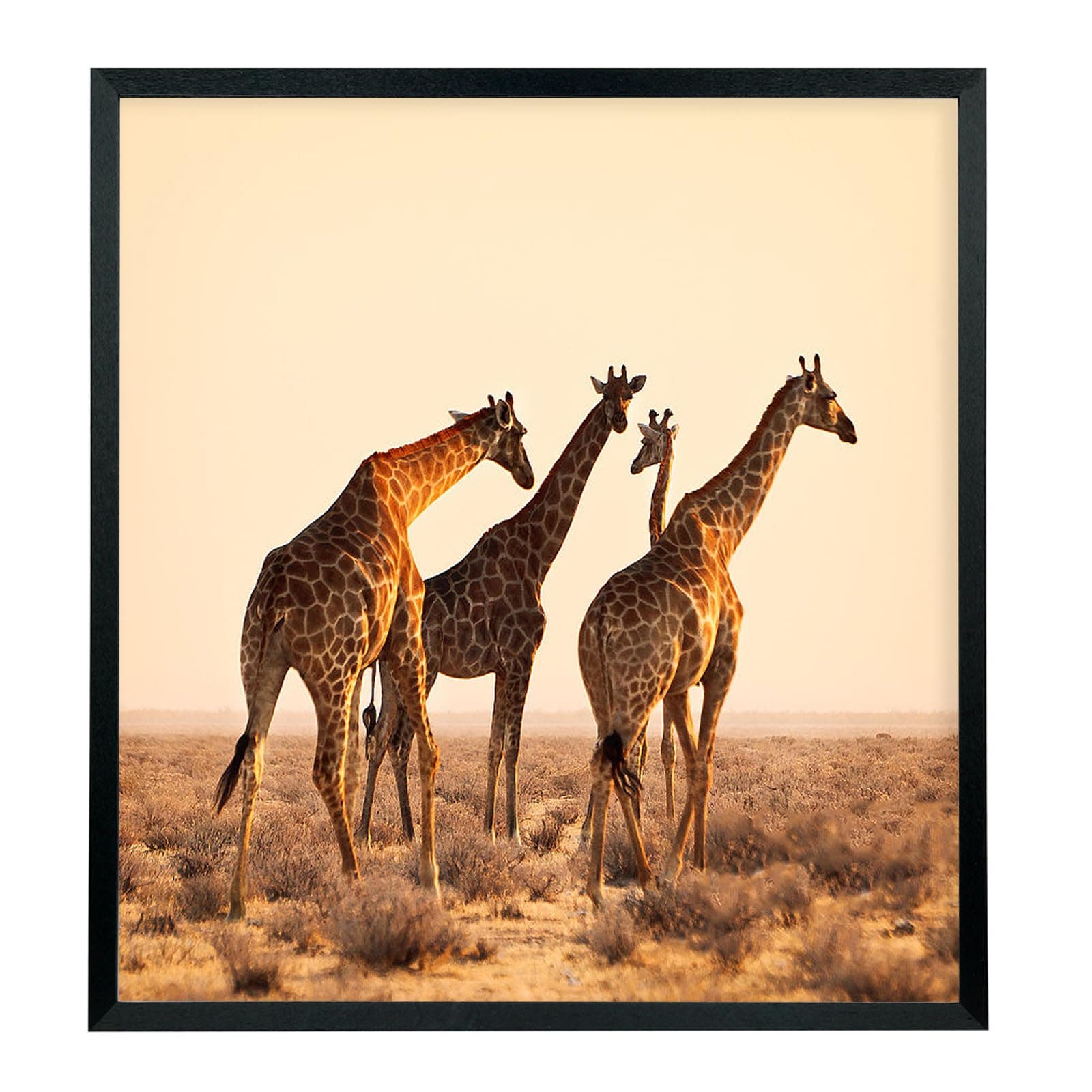 Mxtallup22x24 Picture Frames Solid Wood 22x24 Poster Frame for Wall Photo Frames Family Black (T22B2224)