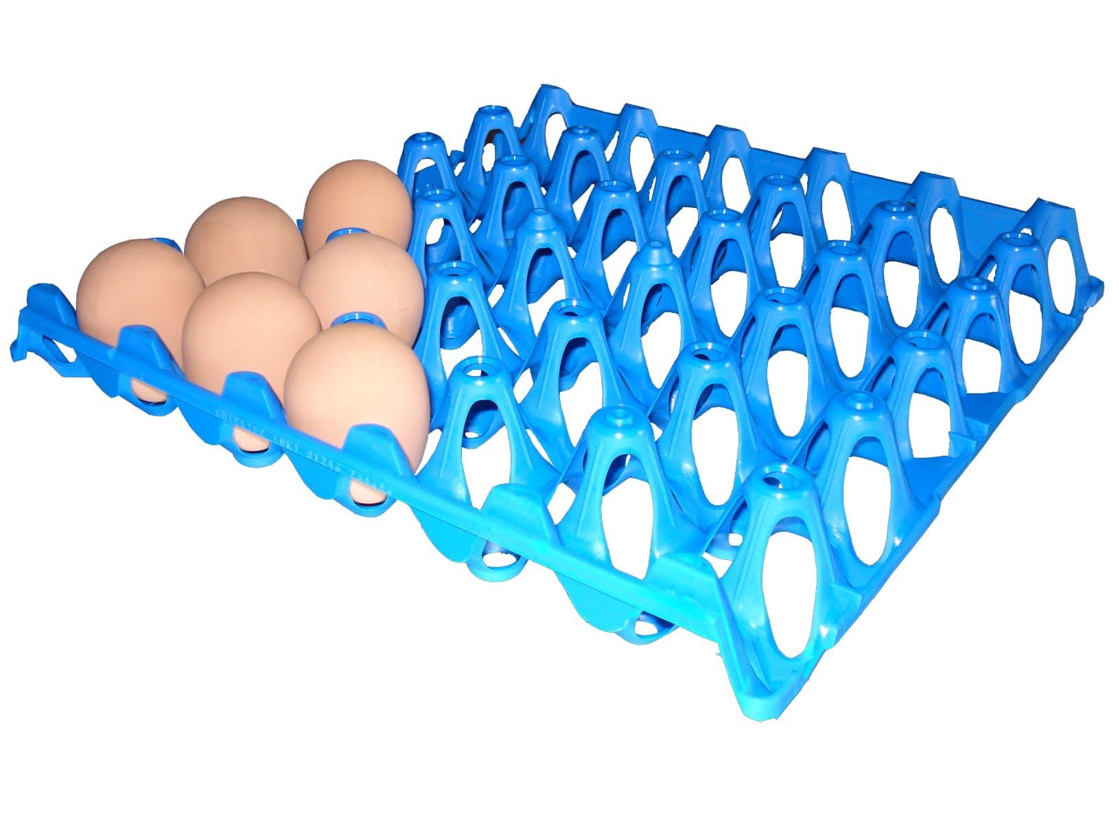 Shorefields Eton Plastic Egg Trays, Choice Of Colours, 4 Pack, 30 Egg Tray (Light Blue)