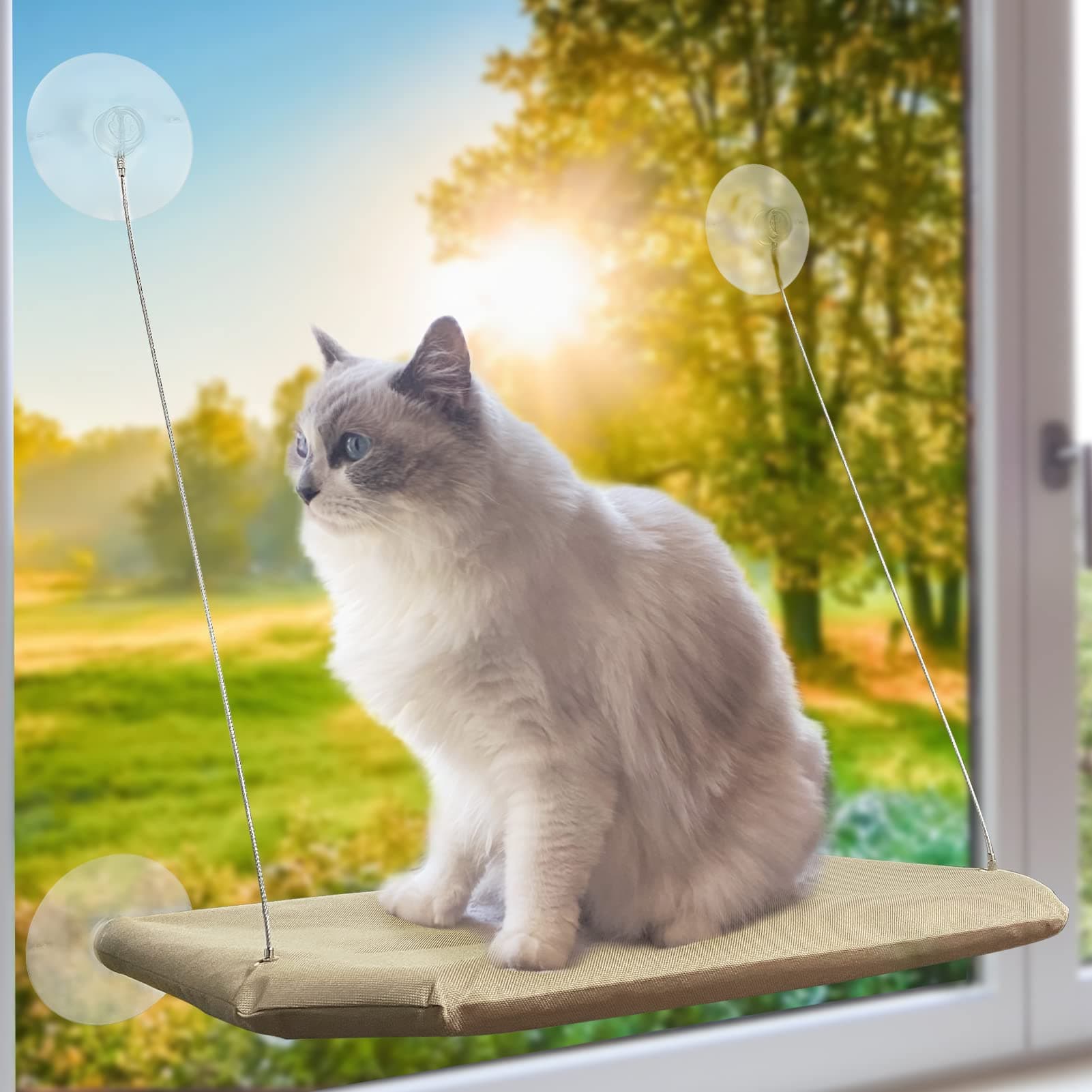 Cat Window Perch, Strong Suction Cups Easy Clean Safety Cat Hammock Window Seat for Large Fat Cat or Double Cats (Up to 50lbs)