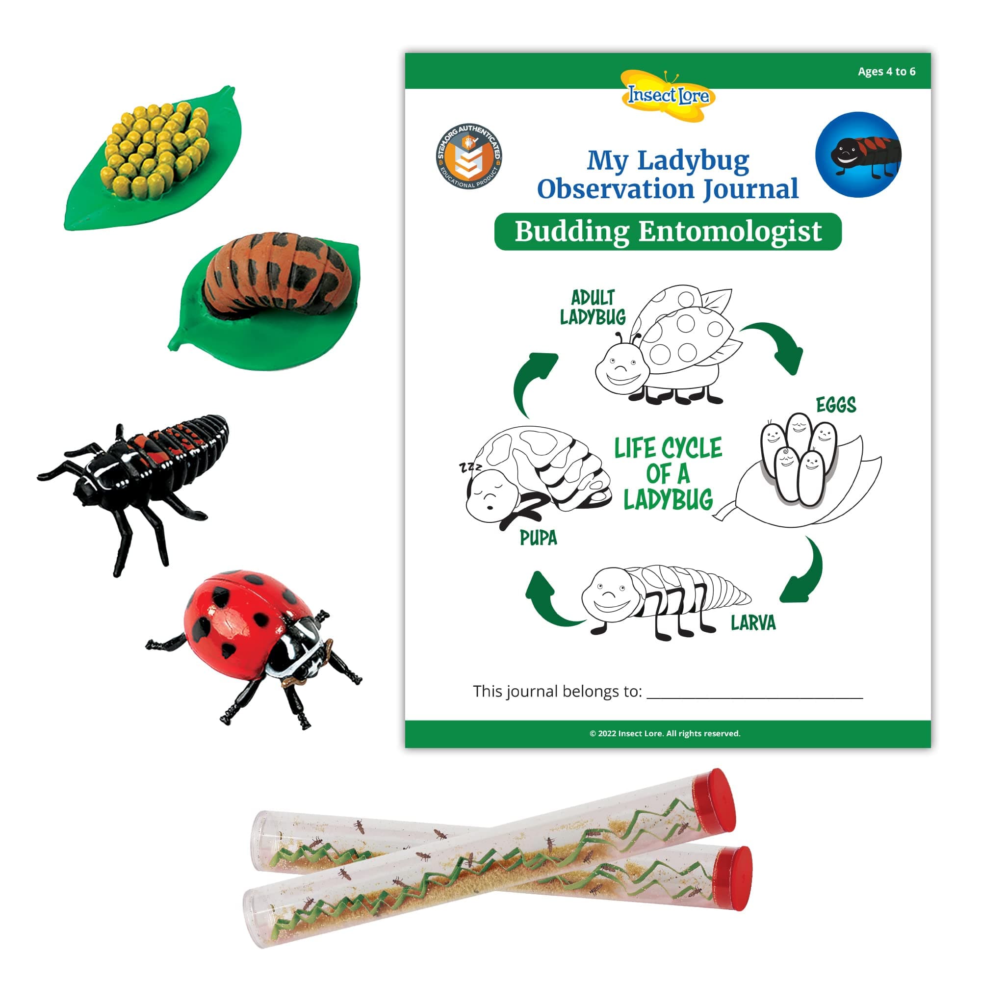 STEM Ladybug Activity Journal with Two Tubes of Ladybug Larvae and Ladybug Life Cycle Stages