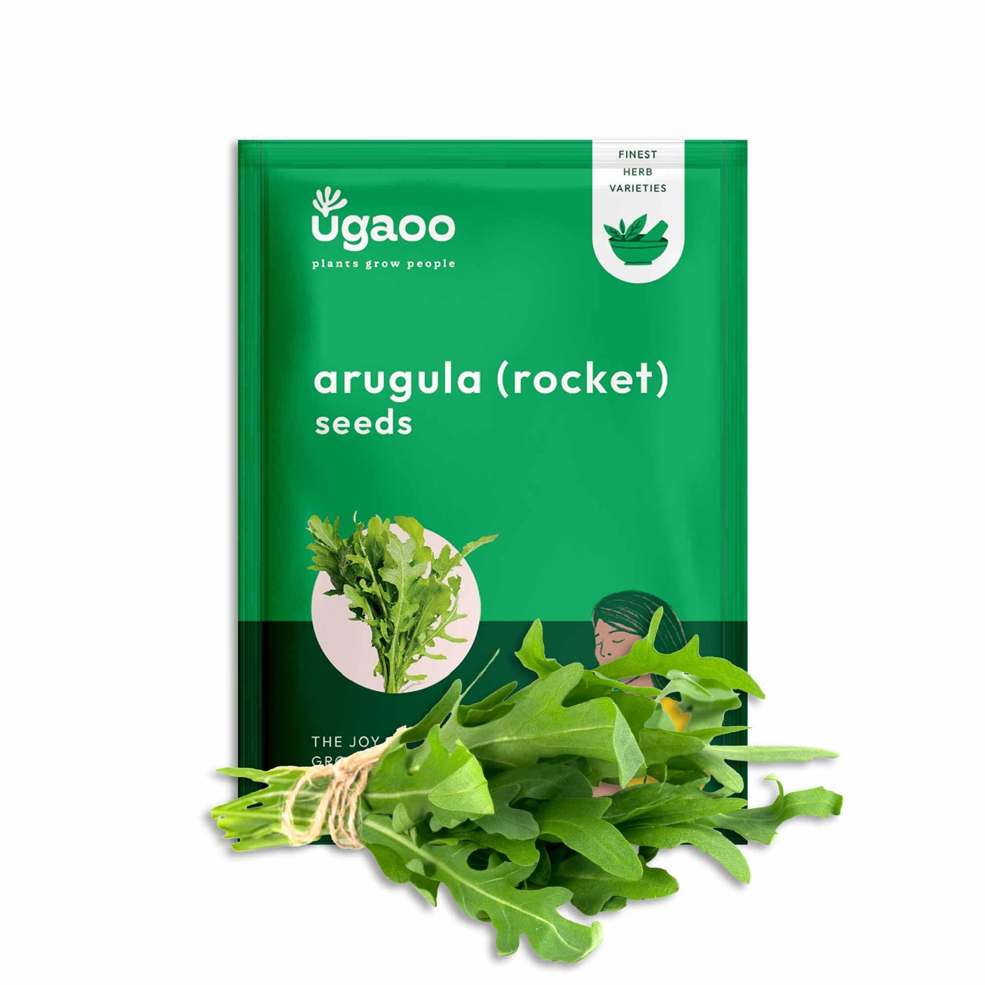 UGAOO Rocket Arugula Herb Seeds (Green, Pack of 1000)