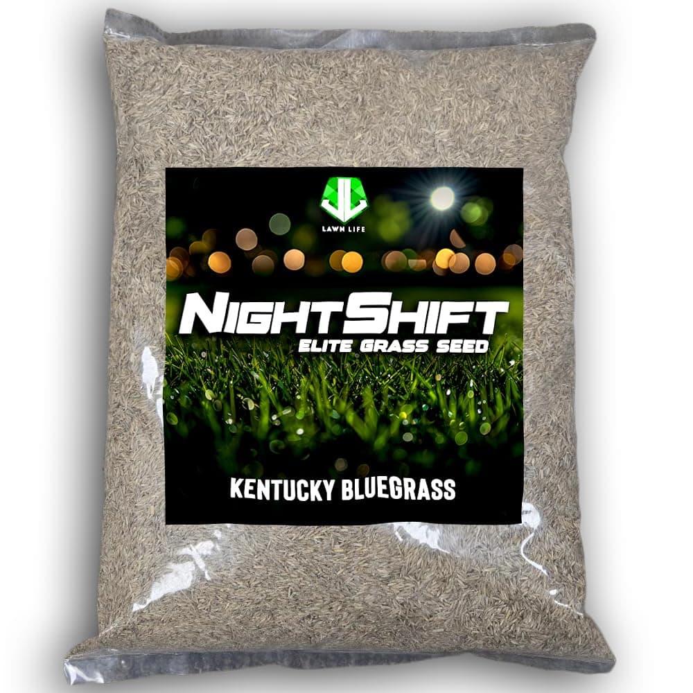 NightShift (Formerly Blackout) Kentucky Bluegrass Grass Seed (5 lbs)