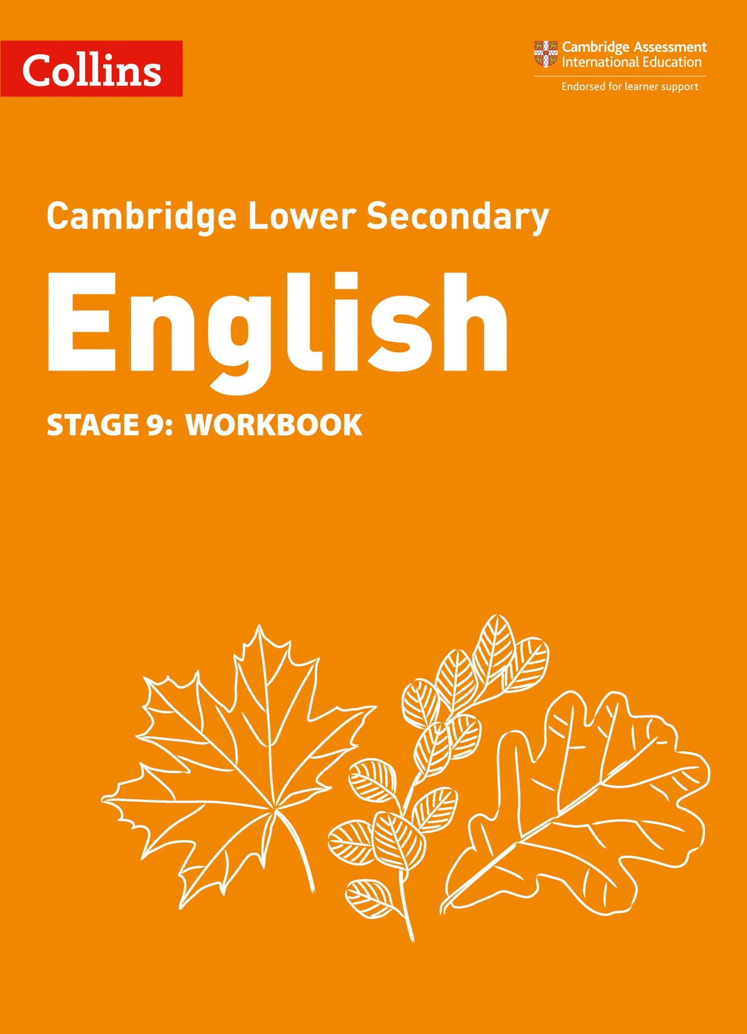 Lower Secondary English Workbook: Stage 9 (Collins Cambridge Lower Secondary English)