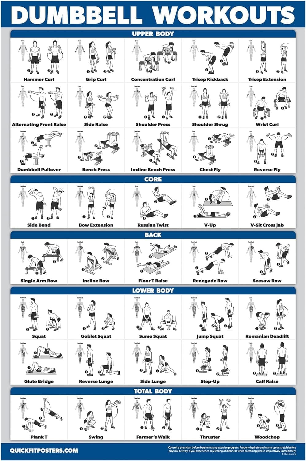 Palace Learning Dumbbell Workout Exercise Poster - Free Weight Bodybuilding Guide | Home Gym Chart - Laminated 18" x 24"