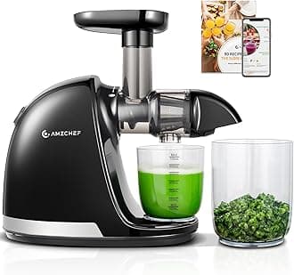 Slow Cold Press Masticating Juicer Machine With Reverse Function, High Juice Yield, Easy Clean With Brush, Recipes For High Nutrient Fruits And Vegetables (Black, 150 Watts)