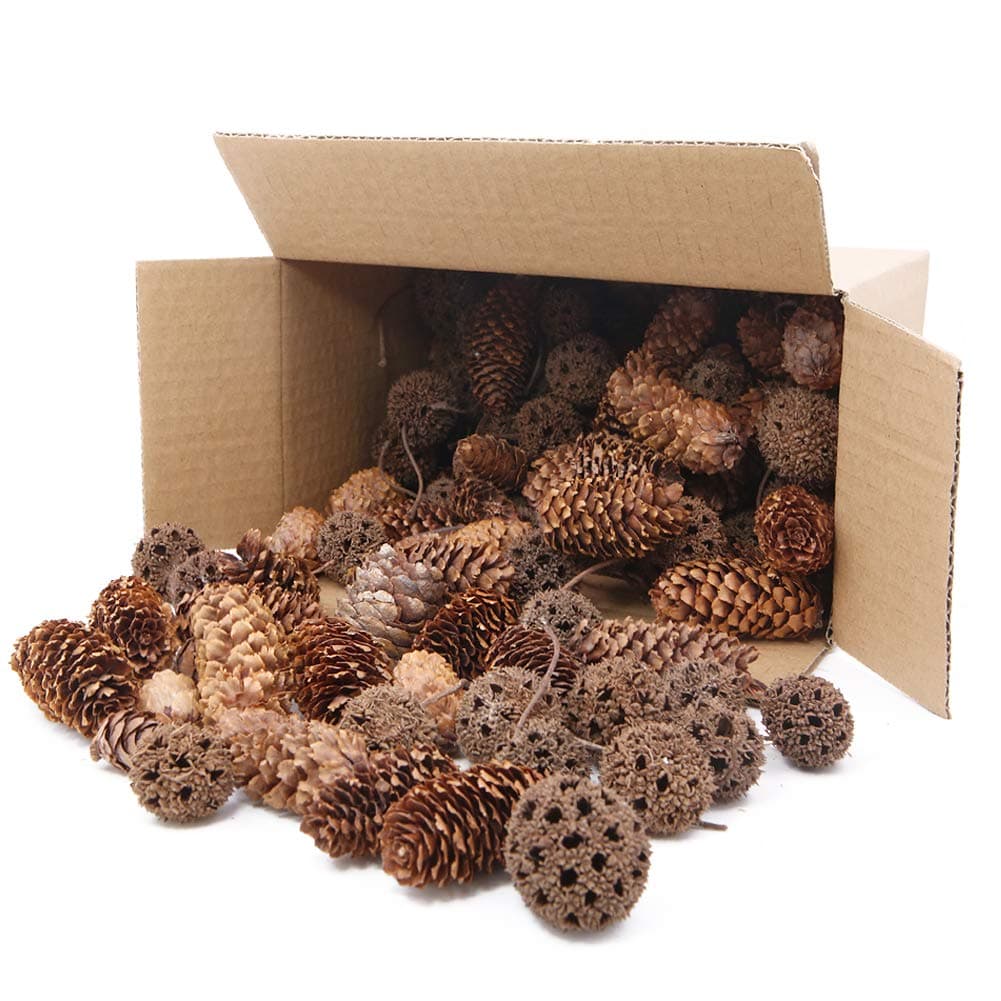 Apol Total 200 Pcs Natural Mini Pinecones Maple Fruit Ornament Set for Vase Fillers Photo Props DIY Home House Christmas Decoration Craft