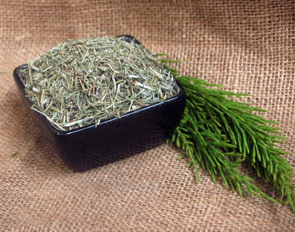 Equisetum, Horsetail Tea 1 Kg