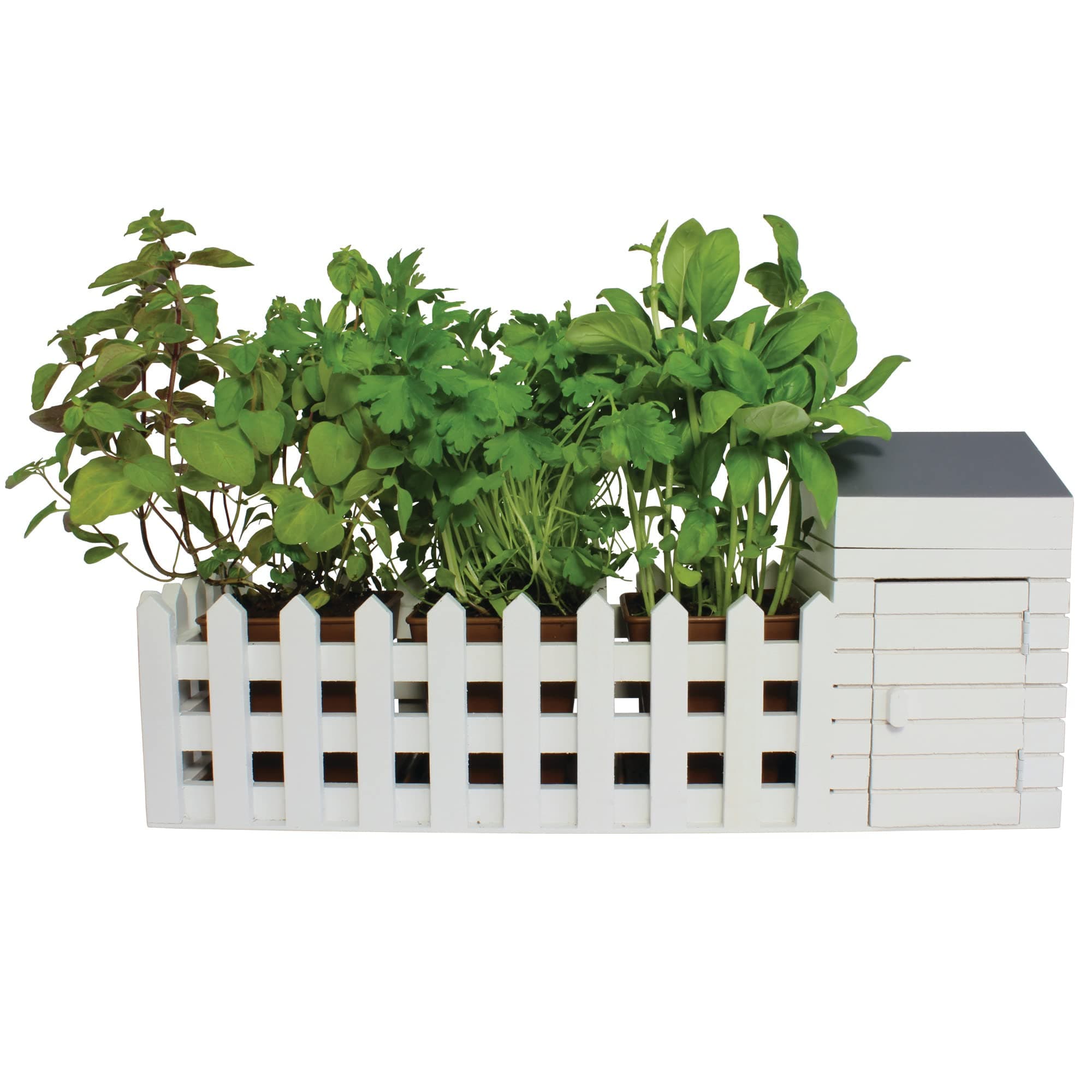 OliphantIndoor Allotment Gift Set Herb Garden