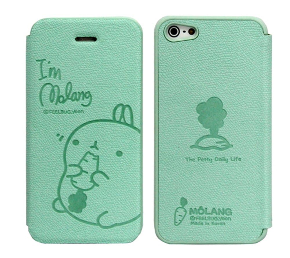 MOLANG Premium Leather Flip Case Cover For Apple iphone 5 5S (Mint)