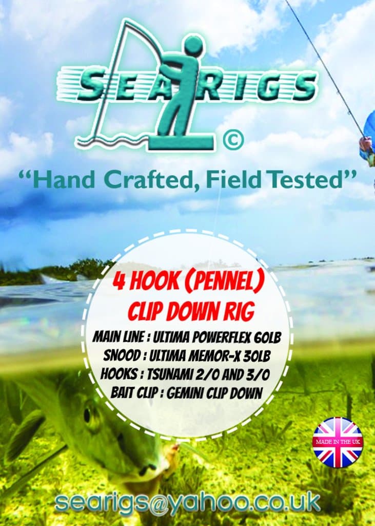 searigs 2 + 2 Hook Clip Down,Cod/Bass/Whiting (Pennel, Distance Rig) (Hooks 4 x 2/0) x 3 Packs.