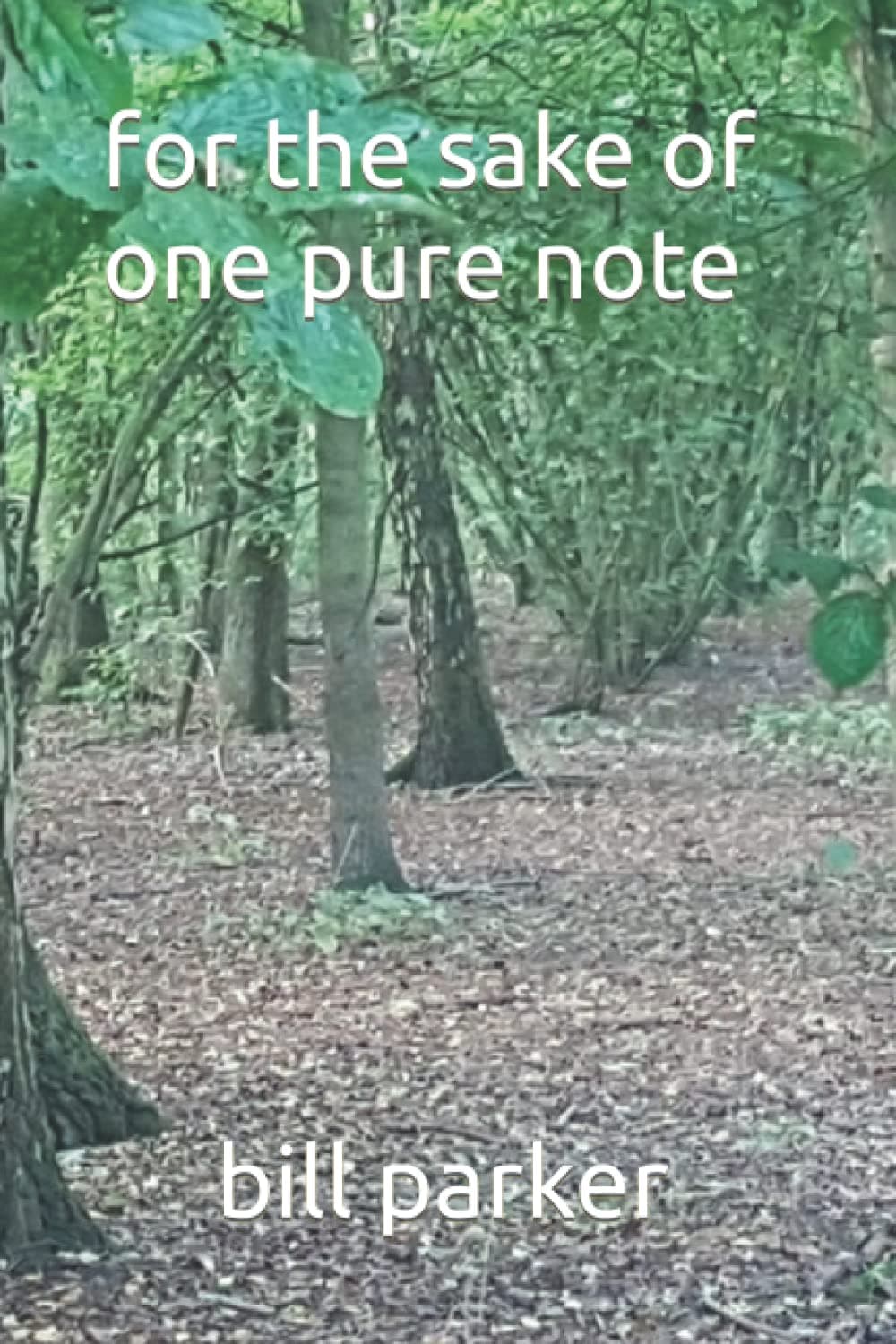 for the sake of one pure note