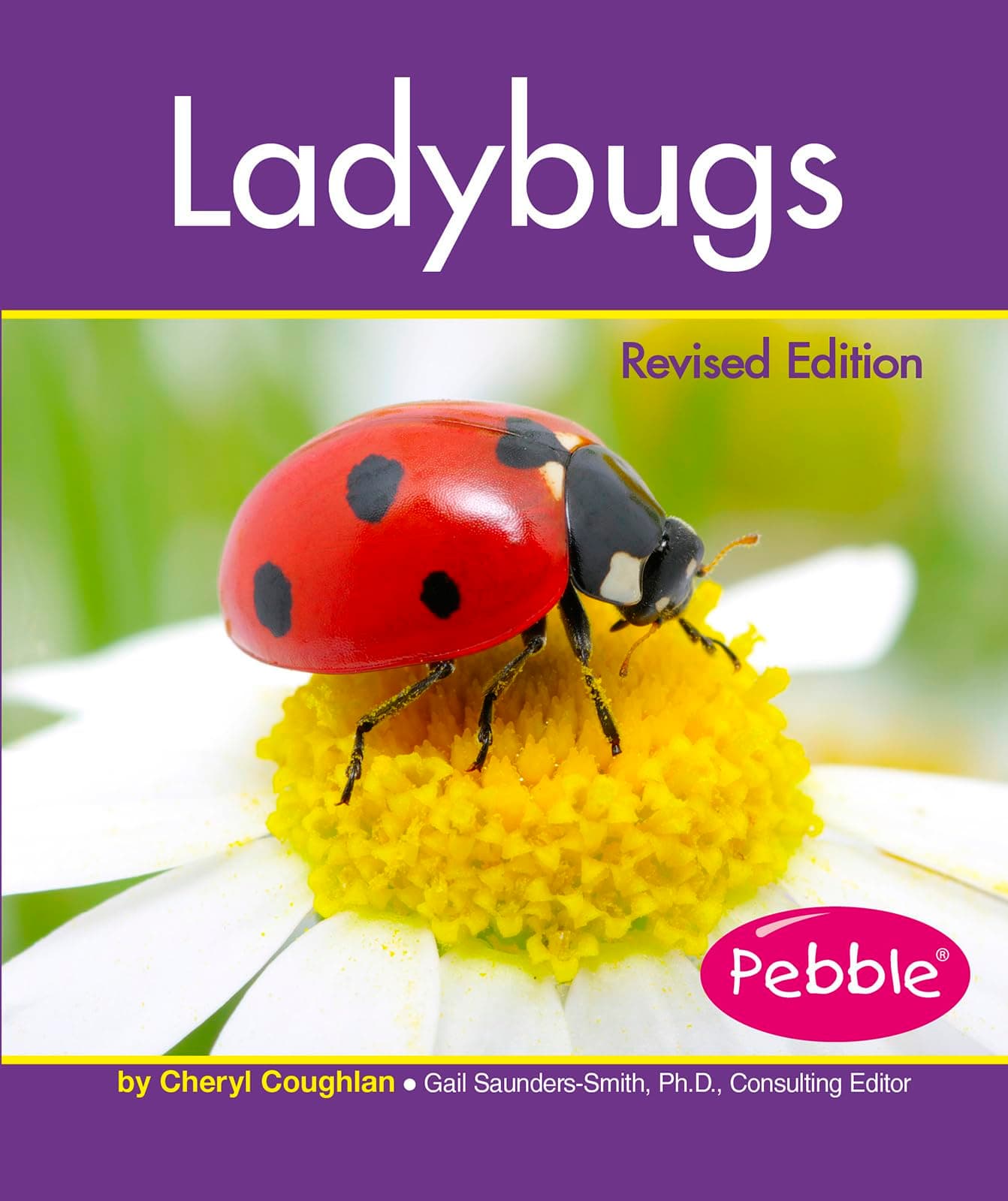 Ladybugs (Insects) Paperback – Illustrated, July 31, 2016