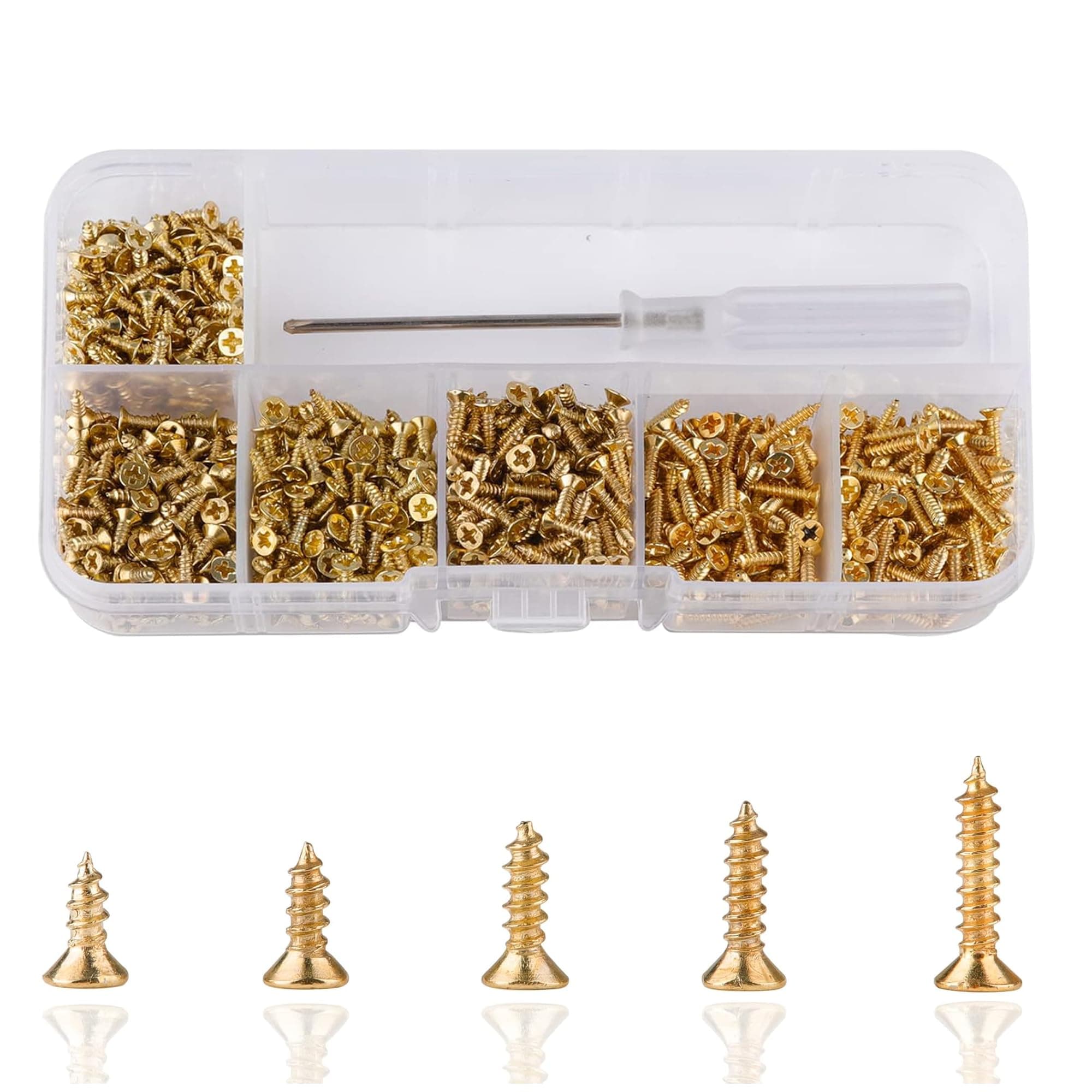 1000 Pcs M2 Small Hinge Wood Screws 5/6/7/8/10 mm Tiny Flat Head Cross Small Brass Screws with Screwdriver for DIY Hinge Dollhouse Drawer Accessories(Golden)