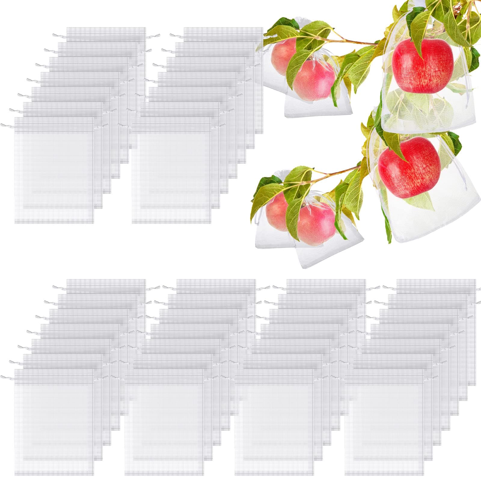 Fruit Tree Protection