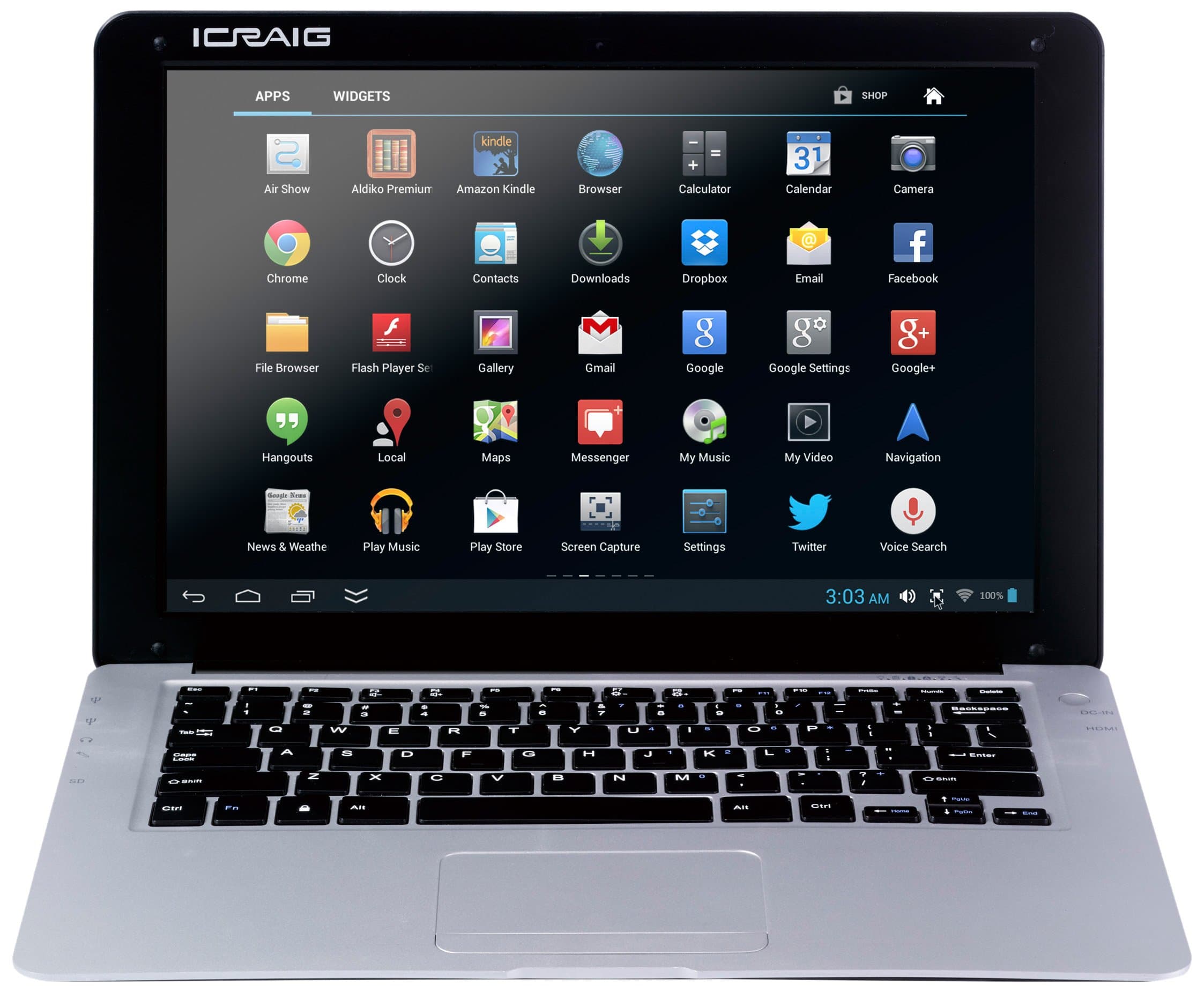 Craig Electronics Slimbook CLP290 BK 14-Inch Netbook