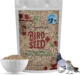 Egardenkart® Wild Bird Food 1kg - Economic Bird Seed Mix for All types of Wild Birds | Bird Feed for Dove Pigeon Myna Lark Bulbul Sparrow Hoopoe | Bird Seeds Outdoor (1kgs, Small Seeds)