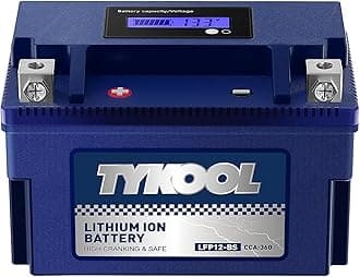 YTX12-BS High Performance LiFePO4 Lithium Motorcycle Battery,360CCA,12V 6Ah,Digital Readout,Fits for Honda TRX250 Recon,Suzuki LT-F250 Ozark,BRP (CAN-AM) DS250 ATV,Polaris RZR UTV,Vespa 300cc Scooter