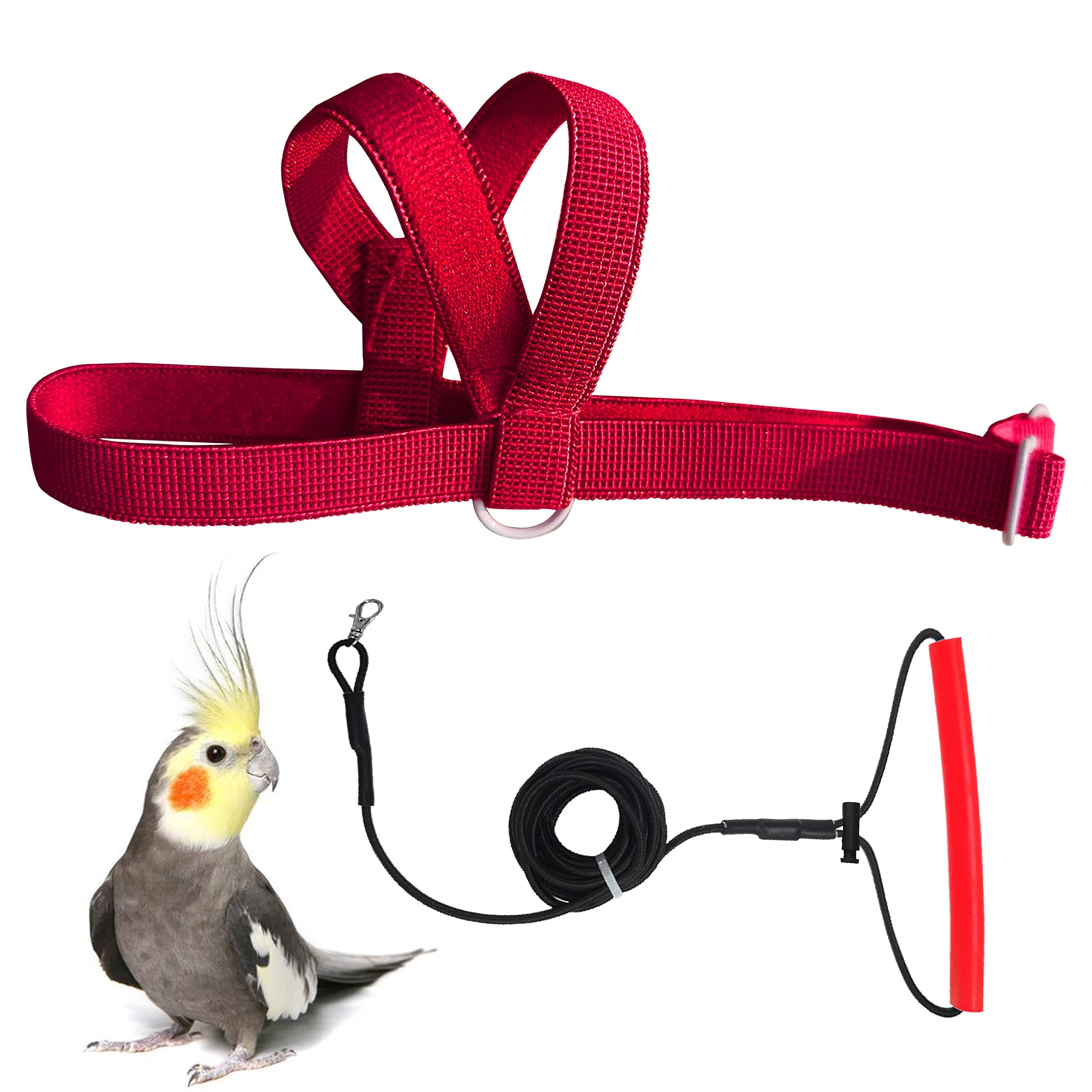 Adjustable Bird Harness Leash Kit,Outdoor Flying Training Rope for Small Parrots VANFAVORI (Color: Red)