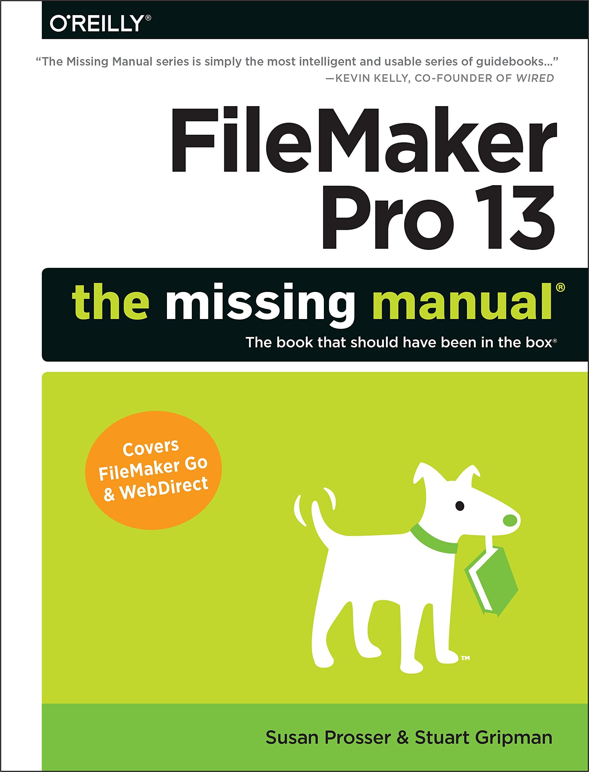 FileMaker Pro 13: The Missing Manual (Missing Manuals) 1st Edition